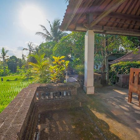 Puri Cili Villa Ubud Esterno foto