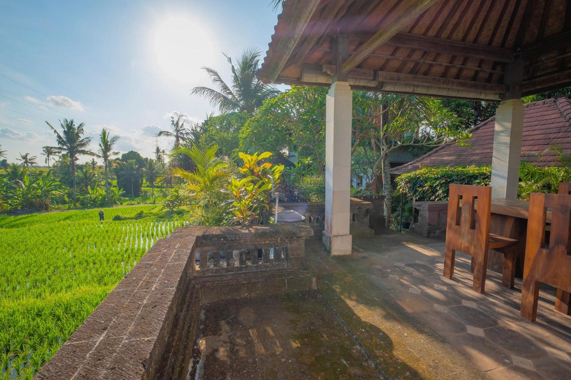 Puri Cili Villa Ubud Esterno foto